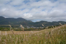 箱根仙石原の山の画像002