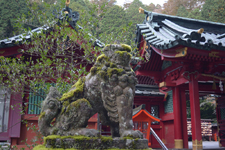箱根神社の狛犬