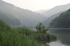 高知の川の画像002
