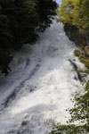 滝と新緑の画像004