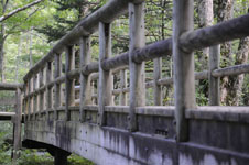 木製の橋の画像001