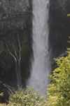 滝の画像004