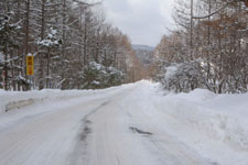 木曽駒高原の道路の画像002