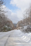 木曽駒高原の道路の画像003
