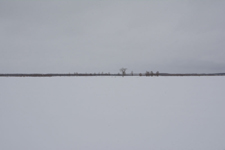 中標津の雪原の画像001