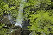 滝の画像006