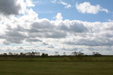 中標津の草原と雲の画像013