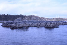 三崎の海の画像033