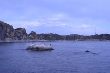 三崎の海の画像041