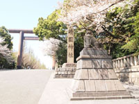 靖国神社の満開の桜の画像003