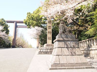 靖国神社の満開の桜の画像004