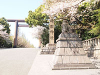 靖国神社の満開の桜の画像005