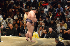 大相撲 富士東 和佳の画像002