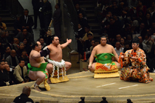 大相撲 横綱土俵入りと日馬富士 公平と宝富士 大輔と誉富士 歓之の画像033