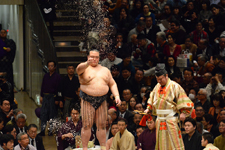 大相撲 稀勢の里 寛の画像001
