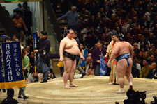 大相撲 稀勢の里 寛と琴奨菊 和弘の画像009