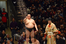 大相撲 稀勢の里 寛の画像006