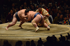 大相撲 稀勢の里 寛と琴奨菊 和弘の画像014