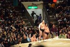 大相撲 日馬富士 公平の画像001
