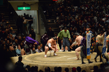 大相撲 日馬富士 公平と勢 翔太の画像005