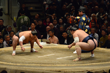 大相撲 日馬富士 公平と勢 翔太の画像007