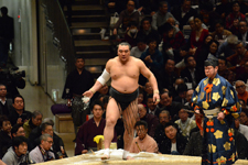 大相撲 日馬富士 公平の画像002