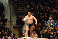 大相撲 日馬富士 公平の画像003