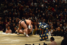 大相撲 日馬富士 公平と勢 翔太の画像012