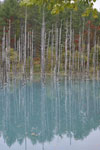 北海道の池の画像003