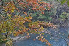 北海道の紅葉の画像013