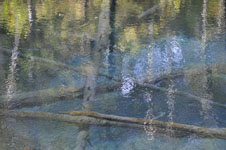 北海道の池の画像005