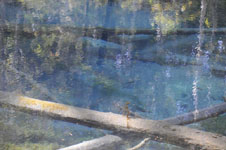 北海道の池の画像006