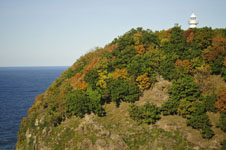 北海道の紅葉の画像014