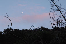 沖縄の山の上の月の画像003