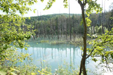 北海道の池の画像009