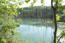 北海道の池の画像010
