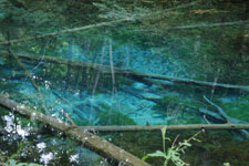 北海道の池の画像013