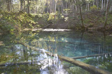 清里町の神の子池の画像005